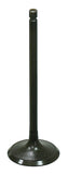 Intake Valve
