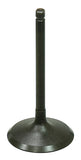 Intake Valve