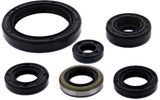 Oil Seal Set Kaw