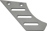 Chain Guard Kit `21 Pan America