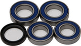 Wheel Bearing & Seal Kit