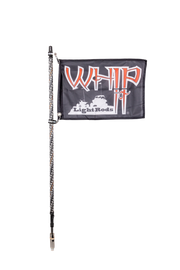 Whip It 5Ft Blk Bt Rgb Chase Set