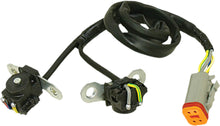 Load image into Gallery viewer, 3911-572a68f89de22.jpg