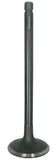 Intake Valve