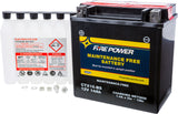 Battery Ctx16-Bs Maintenance Free
