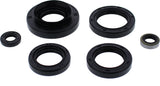 Oil Seal Set