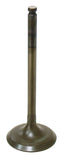 Intake Valve