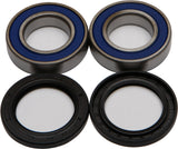 Wheel Bearing & Seal Kit