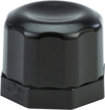 Load image into Gallery viewer, 5969-650c739cd780b.jpg