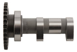 Hot Cams 06-09 LT-R 450 Intake Camshaft - Stage 1