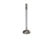 Load image into Gallery viewer, Manley Ford Coyote 5.0L DOHC Race Master 32mm Head 5.96mm Stem 4.274 Length (Set of 8)