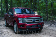 Load image into Gallery viewer, Diode Dynamics 15-20 Ford F-150/Raptor Ditch Light Brackets