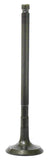 Exhaust Valve