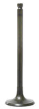 Intake Valve