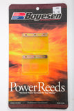 Motorcycle Reeds