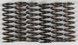 High Temp Springs 6 Springs