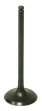 Exhaust Valve