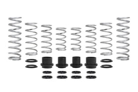 Eibach Pro-UTV 18-19 Polaris RZR XP Turbo S 2-Seat Stage 2 Performance Spring System