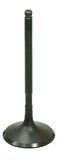 Intake Valve
