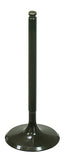 Intake Valve