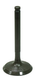 Intake Valve