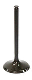 Intake Valve