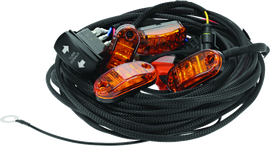 DragonFire Racing Whip Harness - 4 Seat- Dual