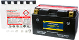 Battery Ctz10s-Bs Maintenance Free