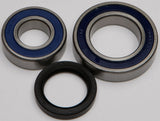 Chain Case Bearing & Seal Kit