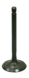 Intake Valve