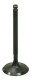 Intake Valve
