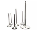 Ferrea 2004 Kawasaki/Suzuki 250 25mm Head 4.46mm Stem Dia Titanium Exhaust Valve - Set of 2