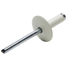Load image into Gallery viewer, Lg Hd Rivet White 250pk