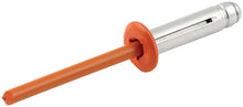 Load image into Gallery viewer, Sm Hd Rivet 250pk Orange Flange Type