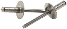 Load image into Gallery viewer, Lg Hd Rivet Silver 250pk Multi Grip