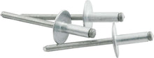 Load image into Gallery viewer, Lg Hd Rivet 250Pk Silver