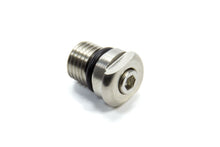 Load image into Gallery viewer, Seal Screw and Plug