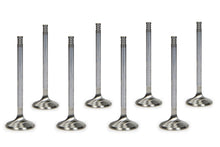 Load image into Gallery viewer, Mopar 6.1L Hemi R/M 1.625 Exhaust Valves