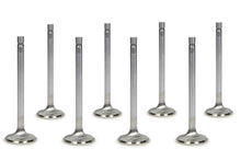Load image into Gallery viewer, SBC E/D 1.600 Exhaust Valves 11/32 5.165 OAL