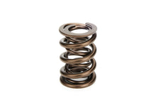 Load image into Gallery viewer, 1.640 Dual Valve Spring