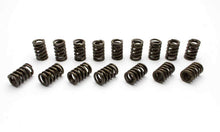 Load image into Gallery viewer, 1.250 Street Master Single Valve Springs