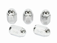 Load image into Gallery viewer, Chrome Acorn Nuts 1/2 - 5 Pack