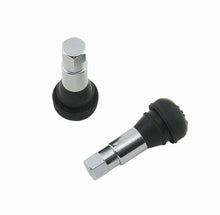 Load image into Gallery viewer, Chrome Tire Valve-Short