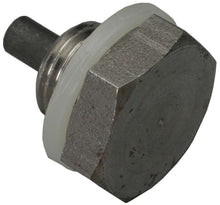 Load image into Gallery viewer, Oil Pan Plug
