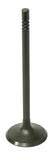 Intake Valve