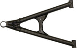 Lower Rh A-Arm Pol