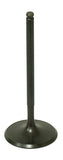 Intake Valve