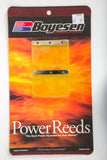 Motorcycle Reeds