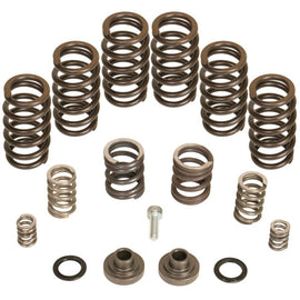 BD Diesel Governor Spring Kit 4000rpm - 1994-1998 Dodge 12-valve/P7100 Pump - Mo-Moto