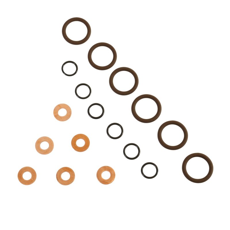 BD Diesel ISB Injector Seal Kit - Dodge 1998.5-2002 5.9L 24-valve - Mo-Moto